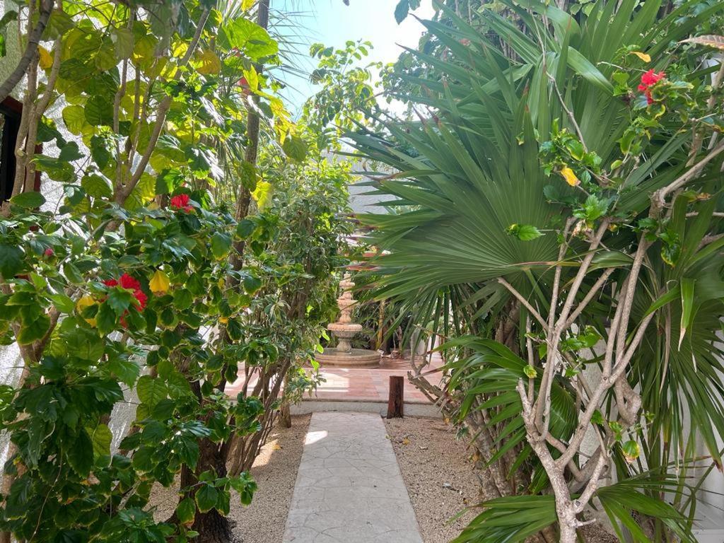 Casa Vista Al Mar Isla Mujeres Villa Kültér fotó